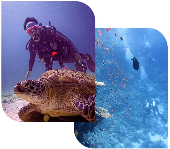 Try Scuba Dive